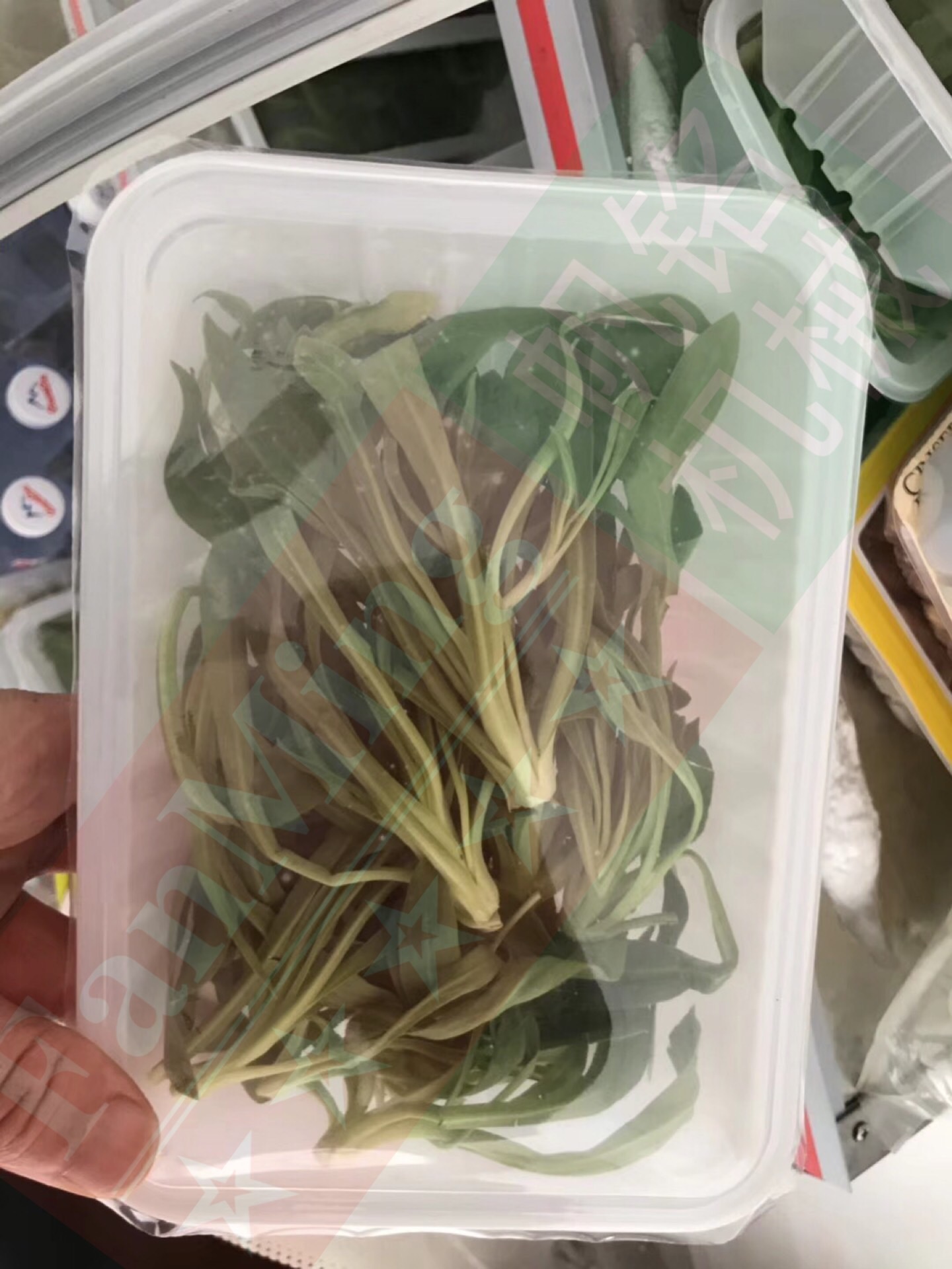 1618542901185938.jpg 71d16894c7385ba4d8732616af30d8a.jpg