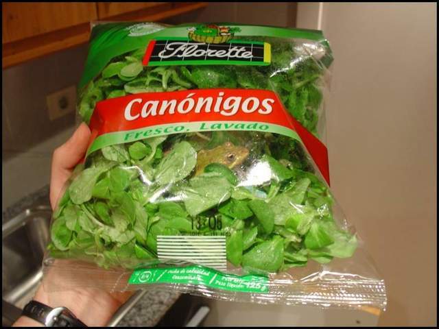 1618645034169479.jpg 果蔬袋3.jpg